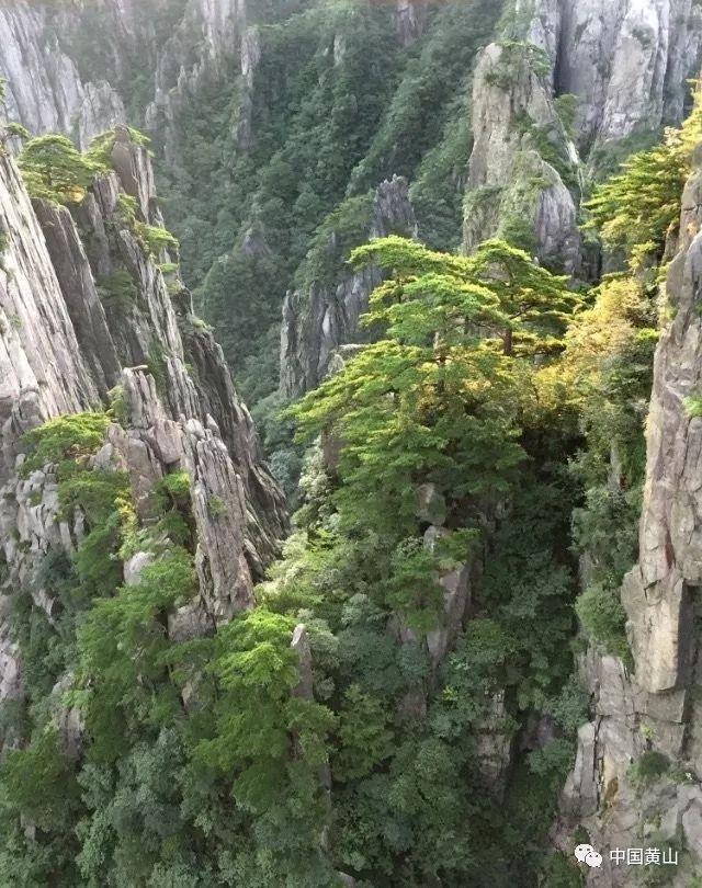 赛出石榴红 共筑中国梦 | 新春送健康 义诊惠民生